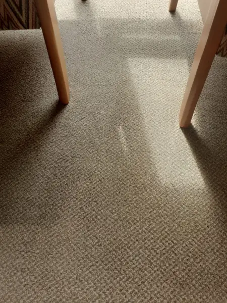 Carpet Cleaning: Swipe To View More Images