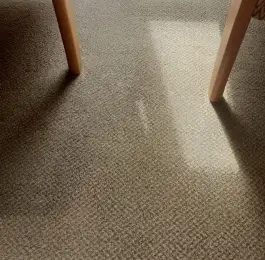 Carpet Cleaning: Click Here To View Larger Image