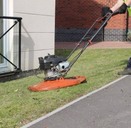 Click Here To View Larger Image